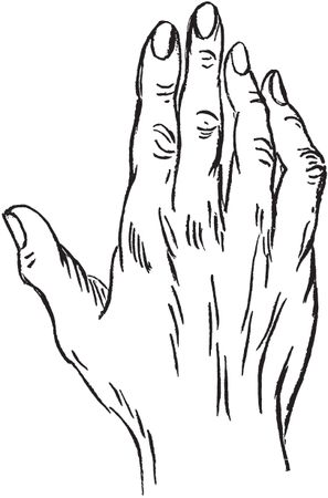 Луис Хамон - Энциклопедия хиромантии. Искусство толкования судьбы от древности...