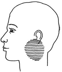 Дмитрий Верищагин - Влияние. Система навыков Дальнейшего ЭнергоИнформационного...