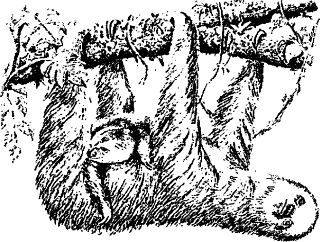 Владимир Леви - Лекарство от лени