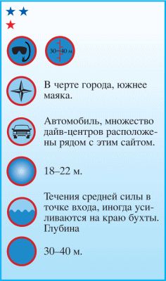 Андрей Рянский - Дайвинг. Красное море