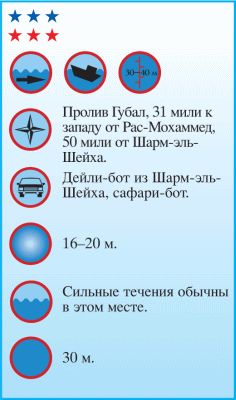 Андрей Рянский - Дайвинг. Красное море