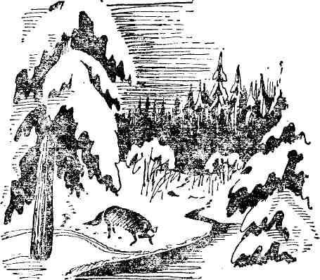 Михаил Жигжитов - Повести