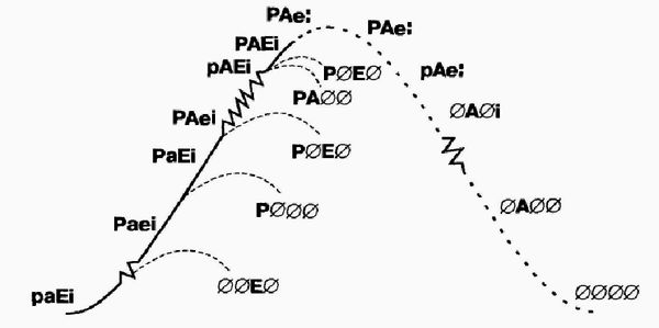 Ицхак Адизес - Управление жизненным циклом корпорации
