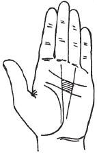 Теодор Шварц - Тайное знание. Секреты нумерологии, хиромантии, астрологии, гаданий