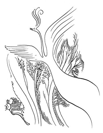 Николай Рубцов - Лирика