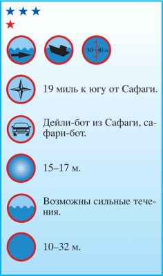 Андрей Рянский - Дайвинг. Красное море