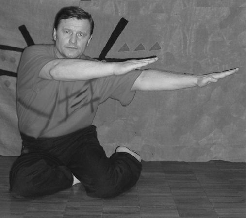 Владимир Шемшук - Встреча с Кощеем Бессмертным. Практика бессмертия