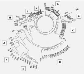 Анатолий Клёсов - ДНК-генеалогия от А до Т