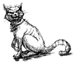 Стивен Джуан - История мозга. 1640 фактов