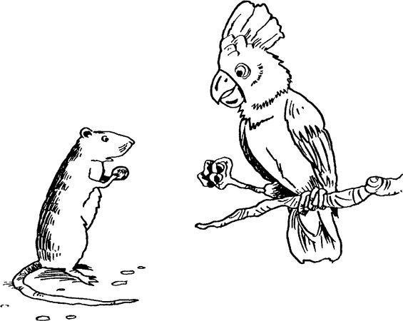 Б. Сергеев - Я познаю мир. Тайны человека