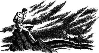 Эдит Гамильтон - Мифы и легенды Греции и Рима