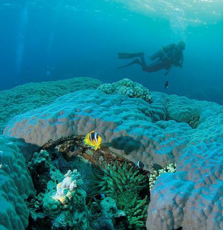 Андрей Рянский - Дайвинг. Красное море