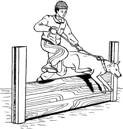 Ольга Зыкина - Немецкая овчарка