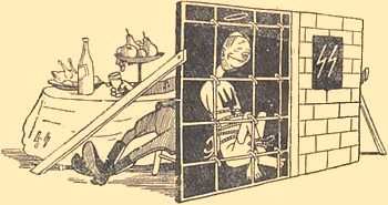 Владимир Беляев, Михаил Рудницкий - Под чужими знаменами