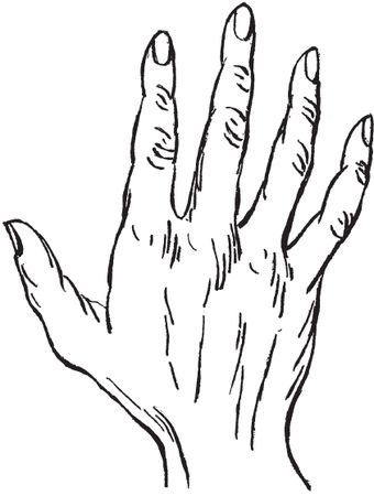 Луис Хамон - Энциклопедия хиромантии. Искусство толкования судьбы от древности...