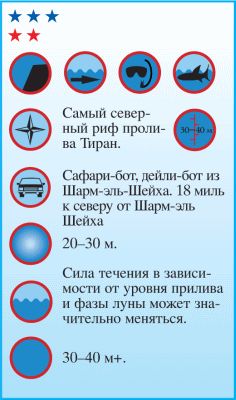 Андрей Рянский - Дайвинг. Красное море