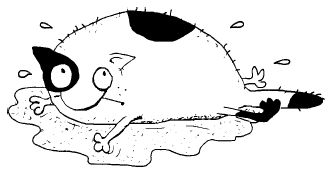 Марта Кетро - Женщины и коты, мужчины и кошки