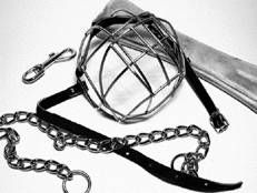 Ольга Зыкина - Немецкая овчарка