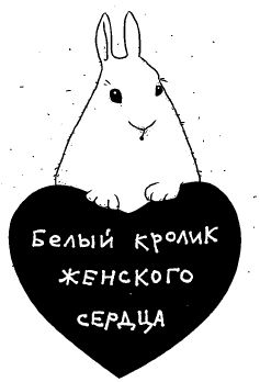 Марта Кетро - Женщины и коты, мужчины и кошки
