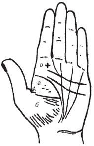 Теодор Шварц - Тайное знание. Секреты нумерологии, хиромантии, астрологии, гаданий