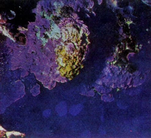 Герман Хеберляйн - Подводный мир