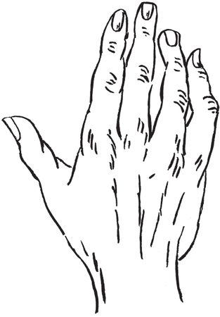 Луис Хамон - Энциклопедия хиромантии. Искусство толкования судьбы от древности...