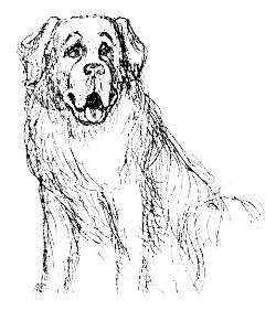 Марина Белоцерковская, Оксана Балазанова - Леди удачи. Все пути...