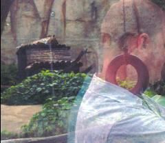 Никита Биржаков - Цифровая фотография в простых примерах