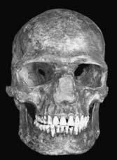 Анатолий Клёсов - ДНК-генеалогия от А до Т