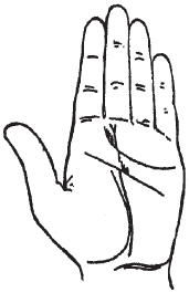 Теодор Шварц - Тайное знание. Секреты нумерологии, хиромантии, астрологии, гаданий