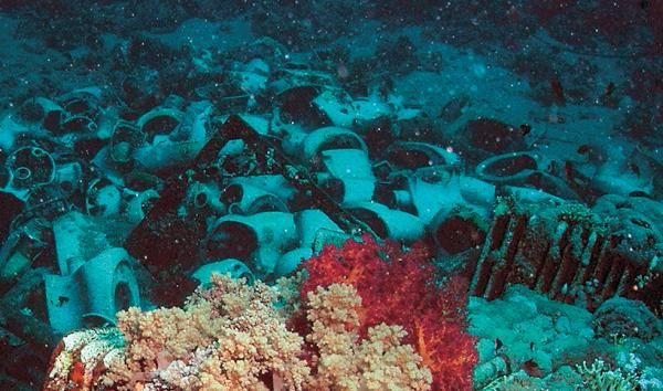 Андрей Рянский - Дайвинг. Красное море