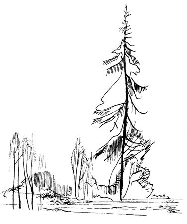 Николай Рубцов - Лирика