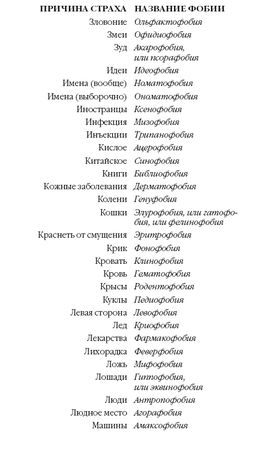 Стивен Джуан - История мозга. 1640 фактов