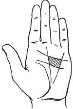 Теодор Шварц - Тайное знание. Секреты нумерологии, хиромантии, астрологии, гаданий