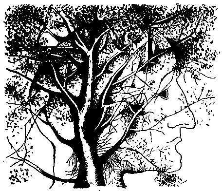 Дмитрий Биленкин - Ночь контрабандой. Рассказы