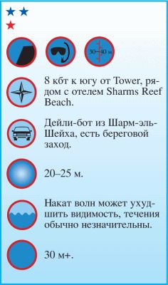 Андрей Рянский - Дайвинг. Красное море