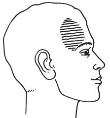 Дмитрий Верищагин - Влияние. Система навыков Дальнейшего ЭнергоИнформационного...