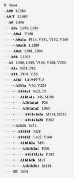 Анатолий Клёсов - ДНК-генеалогия от А до Т