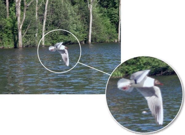 Никита Биржаков - Цифровая фотография в простых примерах