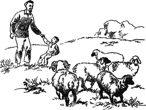 Екатерина Резниченко - Секреты гармоничного развития