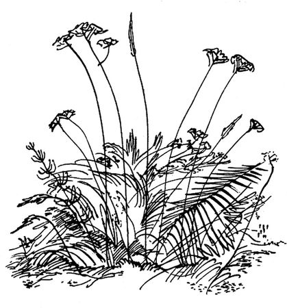 Николай Рубцов - Лирика