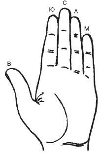 Теодор Шварц - Тайное знание. Секреты нумерологии, хиромантии, астрологии, гаданий