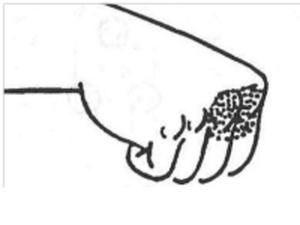 Евгений Казакеев - Как стать кикбоксером, или 10 шагов к безопасности