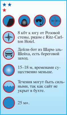 Андрей Рянский - Дайвинг. Красное море