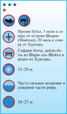 Андрей Рянский - Дайвинг. Красное море