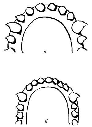 Ольга Зыкина - Немецкая овчарка