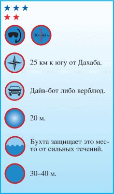 Андрей Рянский - Дайвинг. Красное море