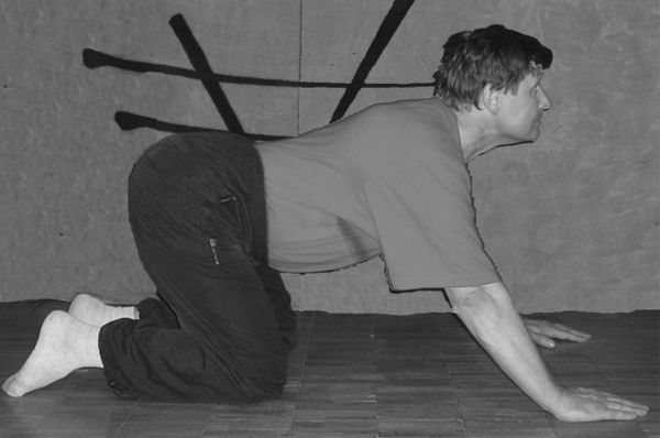 Владимир Шемшук - Встреча с Кощеем Бессмертным. Практика бессмертия