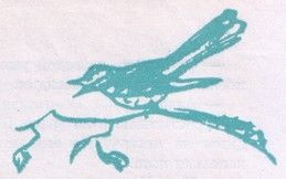 Григорий Канович - Я смотрю на звезды