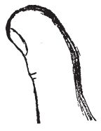 Луис Хамон - Энциклопедия хиромантии. Искусство толкования судьбы от древности...